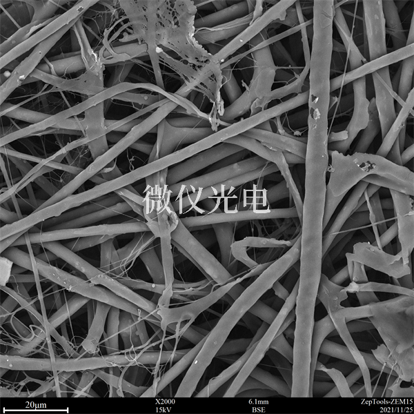 臺式掃描電鏡廣泛應用于許多學科領域