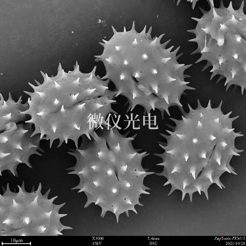 sem掃描電鏡的原理、組成、基本參數(shù)和應(yīng)用的介紹